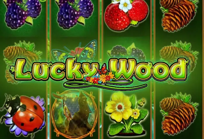 Promoções e bónus exclusivos disponíveis para jogadores no Pinnaclecasino.